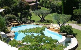 Au Pays De Cezanne Picasso & Matisse